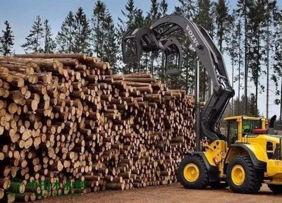 加拿大西部木材供应商每天卖出的仅仅够收回成本